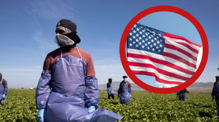 Estados Unidos: importante empresa busca recolectores; esto pagan por hora