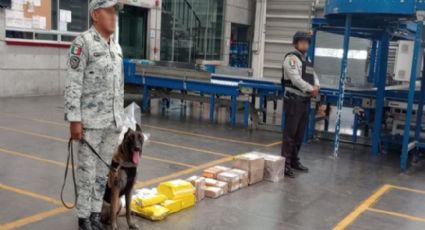 Gabinete de Seguridad sigue cosechando los triunfos de la 'Operación Frontera Norte'