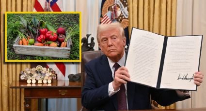 Nuevos aranceles: Trump amenaza con imponer impuestos a productos agrícolas; ¿en qué fecha?