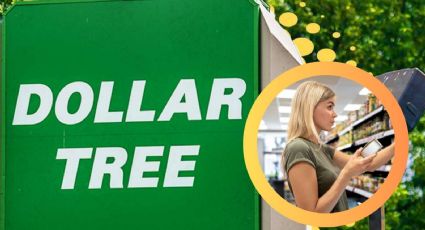 Dollar Tree: ¿cuáles son los mejores alimentos enlatados para comprar en la tienda?