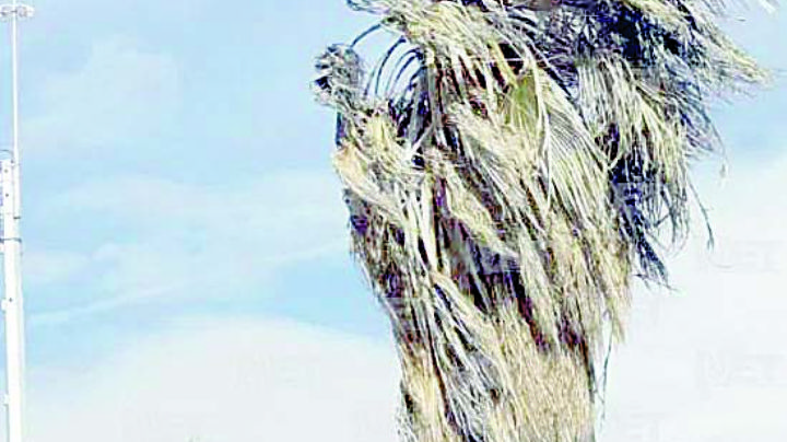 'Bandera roja': alertan por fuerte viento en los dos Laredos