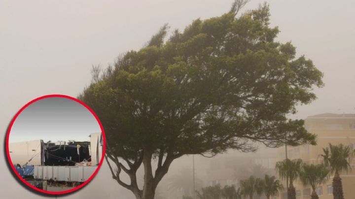 Vientos en Texas causan accidentes; registran ráfagas de más de 70 mph