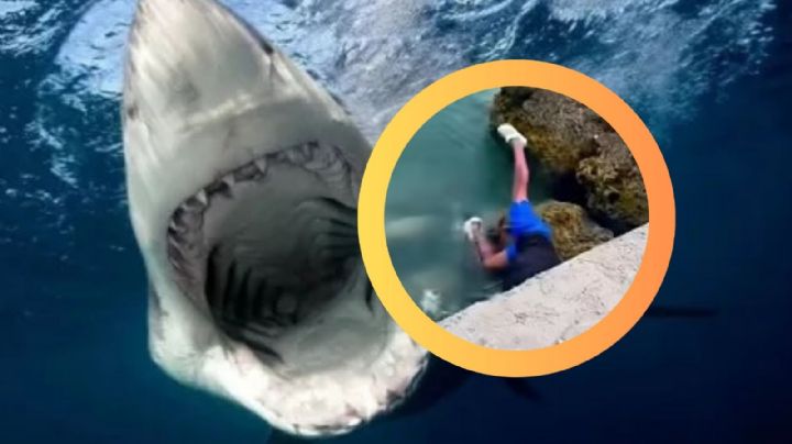 Hombre resbala de roca y cae sobre tiburón; sus chanclas quedaron flotando | VIDEO