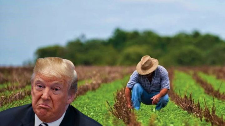 Aranceles a productos del campo afectarán en el consumo de estos 12 productos, advierten expertos