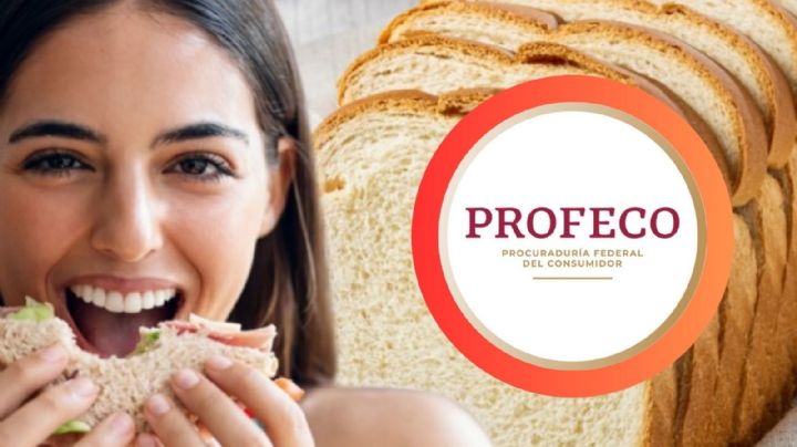 Profeco: las mejores opciones de marcas de pan; son nutritivas para los niños