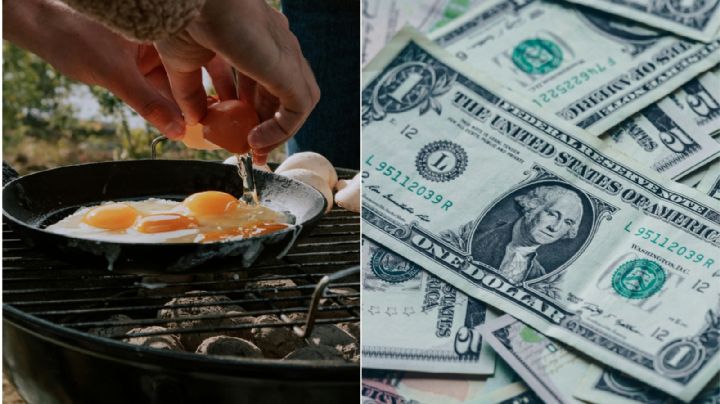 ¿Por qué el huevo es tan caro en EU?; autoridades denuncian contrabando desde México