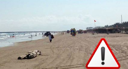Semana Santa: niña de 7 años muere ahogada en la playa; iba como parte de una excursión