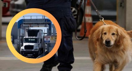 CBP descubre 742 kilos de metanfetaminas ocultos en cargamento de vegetales; ¿cómo lo descubrieron?
