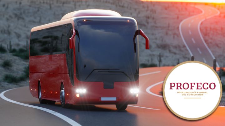 Profeco: estos son tus derechos al viajar en autobús en las vacaciones de Semana Santa 2025
