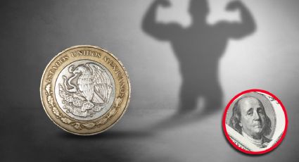 Peso mexicano muestra su fuerza: tipo de cambio del dólar HOY 15 de abril del 2025