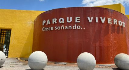 Domingo de Pascua en Nuevo Laredo: estos espacios recibirán a miles de personas