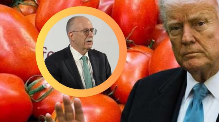 'Vamos a dialogar': Julio Berdegué responde al arancel del 20.91% que EU impondría al tomate mexicano