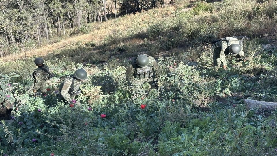 El ejército sigue con cateos importantes en el país.