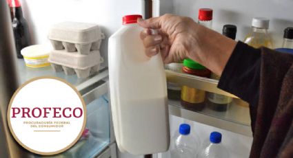 Profeco: ¿cuál es la mejor marca de leche en México este 2025?, aporta más calcio que la competencia