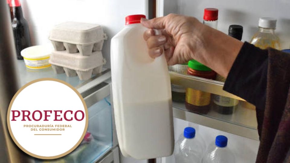 Elige la mejor leche para tu consumo, con los consejos de la Profeco sobre este alimento básico en la dieta del mexicano
