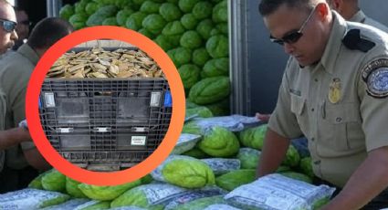 Aseguran casi 455 kg de metanfetaminas ocultas entre chayotes en Pharr, Texas