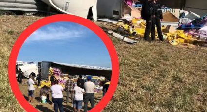 Tráiler que transportaba alimento para perros sufre aparatosa volcadura; la rapiña no perdonó