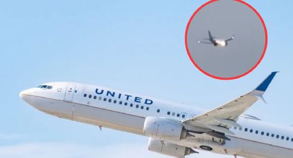 Conejo provoca incendio en el motor de un avión en pleno vuelo; pasajeros entraron en pánico | VIDEO