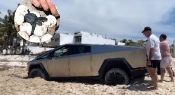 Turistas meten su Cybertruck en playa mexicana donde anidan tortugas; terminaron atascados | VIDEO