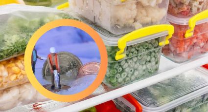 ¿Te vas de vacaciones?, este truco con una moneda en el congelador podría salvar tu comida