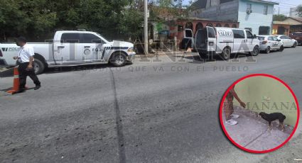 Nuevo Laredo: perrito alerta a vecinos; los guía hacia su amo muerto en la Colonia Hidalgo