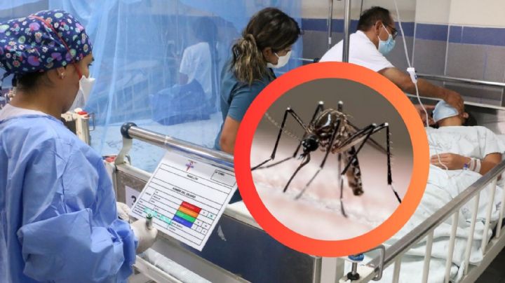 Dengue avanza en México: ¿cuáles son los estados más afectados?