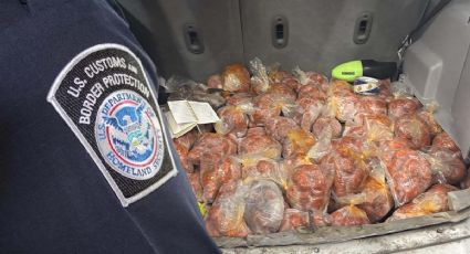 CBP asegura cargamento de embutidos de cerdo en Puente Internacional