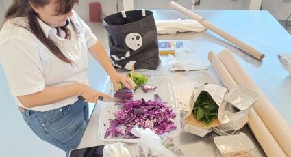 Desarrolla la UAT alternativa para la producción de pigmentos naturales