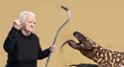 El veneno de este enigmático reptil ha ayudado a desarrollar el tratamiento contra la diabetes
