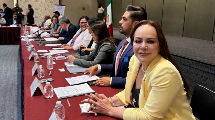 Carmen Lilia Canturosas conforma parte del CNOTDU