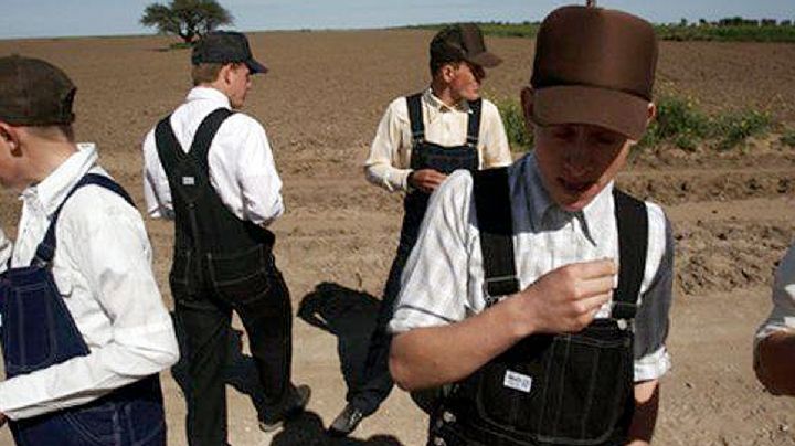 ¿Conoces a los menonitas de Tamaulipas?; entérate dónde viven y a qué se dedican