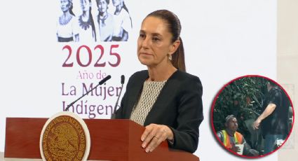 'A México y a los mexicanos se nos respeta': Sheinbaum defiende a trabajador discriminado en Sinaloa