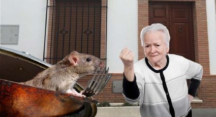 Si mi vecino tiene ratones, ¿cómo evitar que se pasen a mi casa?