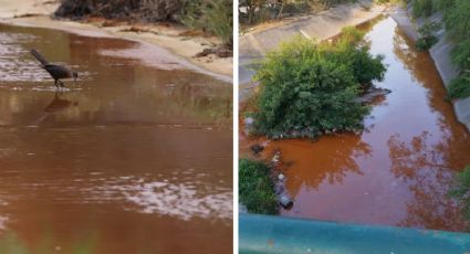 Ternium 'pinta'  de rojo arroyo de Nuevo León; derrama 400 mil litros de productos químicos