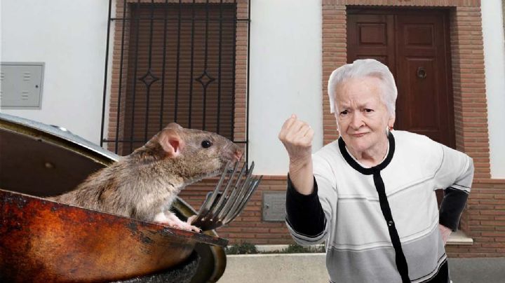 Si mi vecino tiene ratones, ¿cómo evitar que se pasen a mi casa?