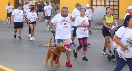 Participan cientos en carrera y caminata con mascotas