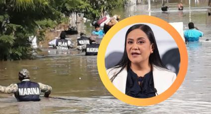 Más de 12 mil viviendas en Tamaulipas ya reciben apoyo tras inundaciones; ¿en qué consiste?
