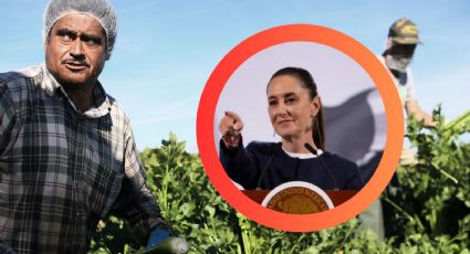 Migrantes mexicanos: de criminalizados a motor económico en Estados Unidos, afirma Sheinbaum