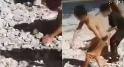Niños apedrean a cabra en Nuevo León; usuarios estallan y exigen justicia