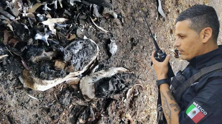 Encuentran supuestos restos humanos en Jalisco; buscadores graban hallazgo | VIDEO