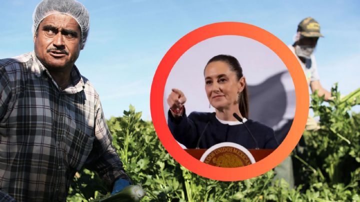 Migrantes mexicanos: de criminalizados a motor económico en Estados Unidos, afirma Sheinbaum