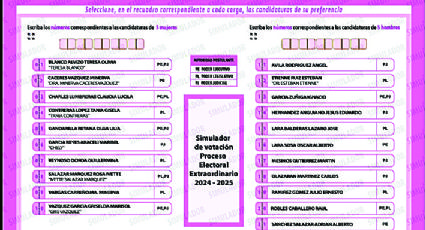 Serán 10 boletas en la elección judicial