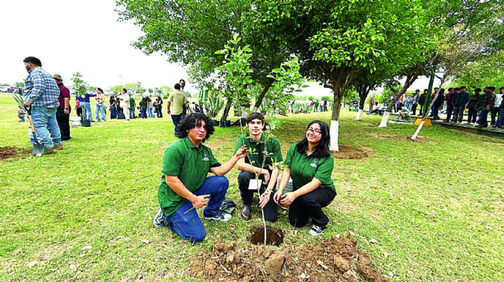 Siembran más de mil árboles en Nuevo Laredo