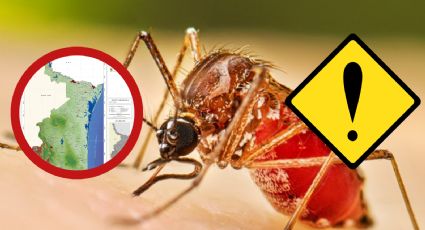 Dengue pega fuerte en Tamaulipas; estas son las cifras de contagios