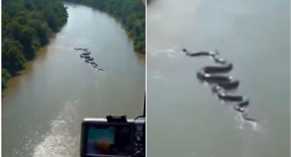 ¿Qué sabemos del VIDEO de la monstruosa anaconda captada en el Amazonas?