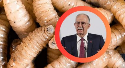 México no es responsable de controlar la plaga de gusano barrenador, afirma Julio Berdegué