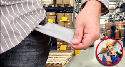 ¿Te tocarán utilidades este 2025?, estas empresas están exentas por ley y pocos lo saben