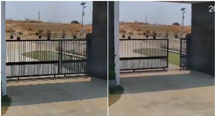 MOMENTO EXACTO en que un poderoso sismo desplaza el suelo 4 metros en segundos | VIDEO