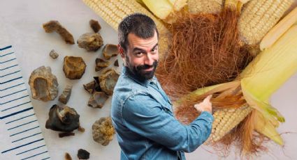 Muchas personas le dan este uso al pelo del elote; ¿cuál es la razón?