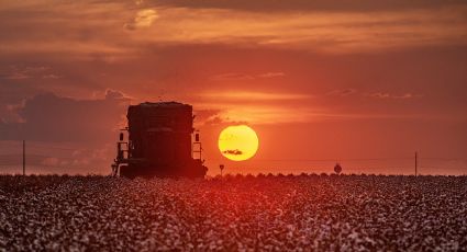 Texas registra calor tan intenso como si fuera canícula; se romperán récords en varias ciudades